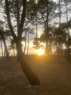 Photo amateur