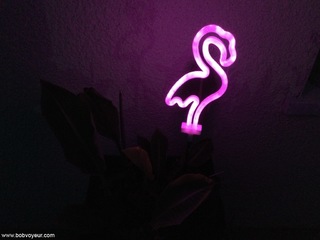 Photo amateur