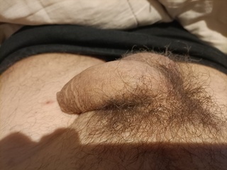 Ma bite au repos 