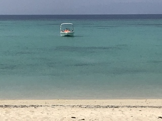 Photo amateur