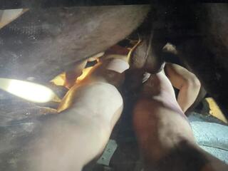 Photo amateur