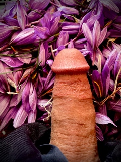 Photo amateur