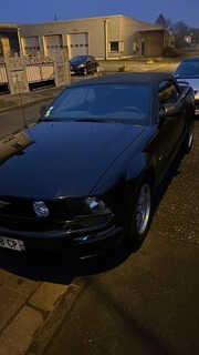 Possibilité de faire des photos avec notre mustang ou plus