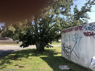Photo amateur