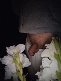 Photo amateur