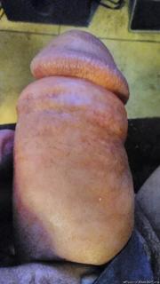 Photo amateur
