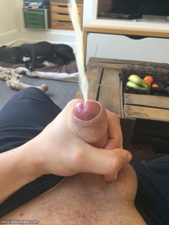Photo amateur