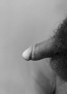 Photo amateur