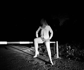 Petite barrière d’un bois…