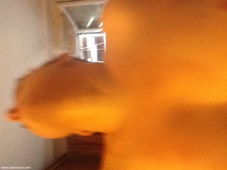 Photo amateur