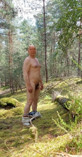 En forêt 