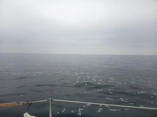 Petite balade en mer pas de foto le temps ne n'y prête pas
