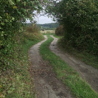 Pont du hode